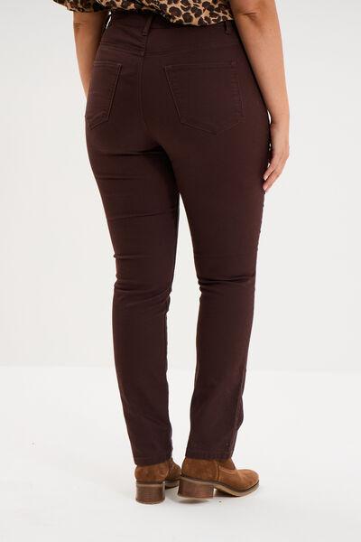 Women's Dark Brown High-Waist Stretch Straight Pants